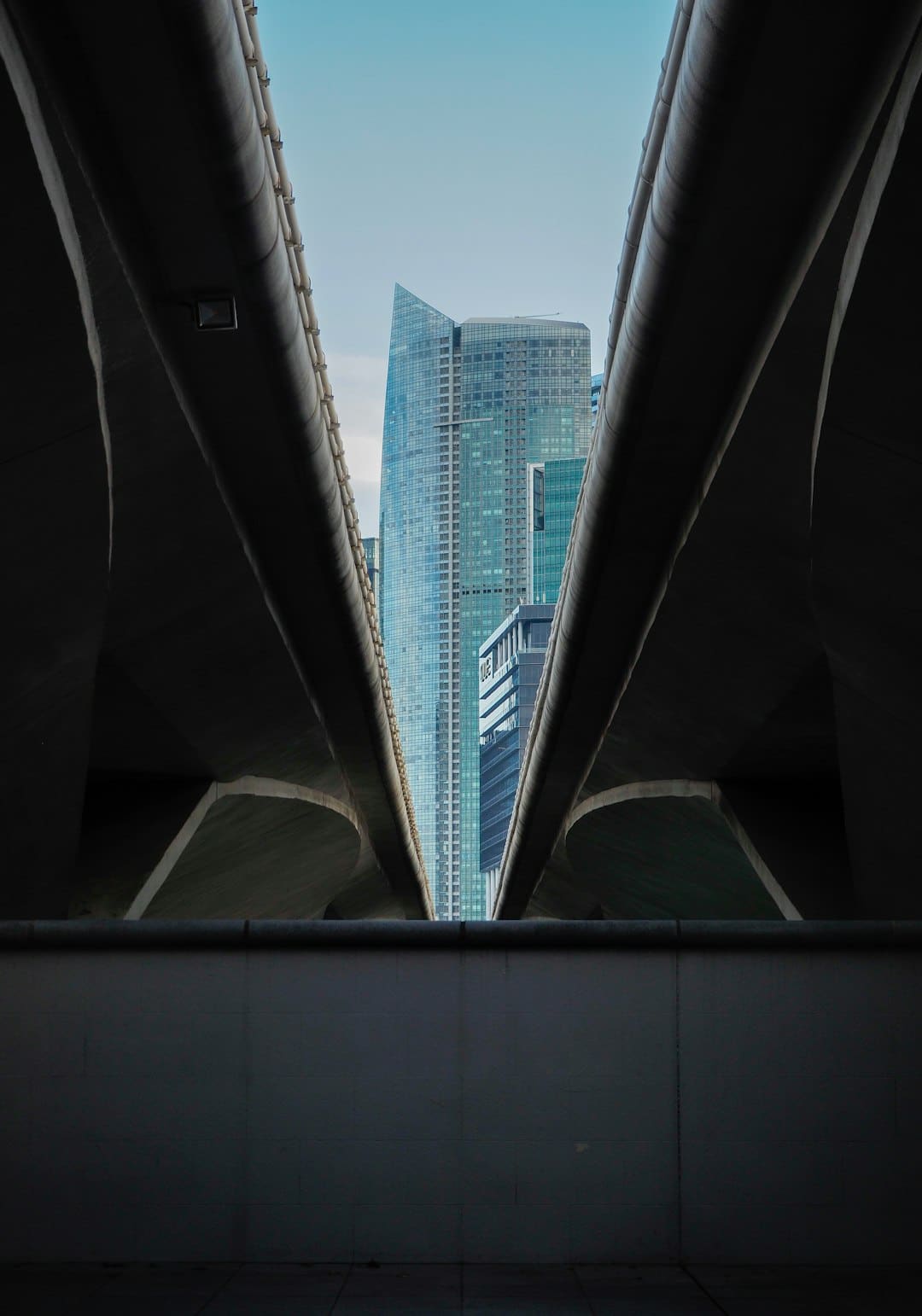 世界黄金协会:8月黄金ETF净流入55亿美元